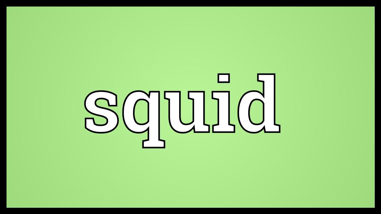 Squid Meaning