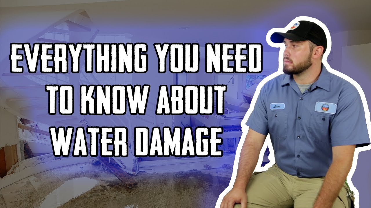 Everything You Wanted To Know About Water Damage Restoration & Mitigation