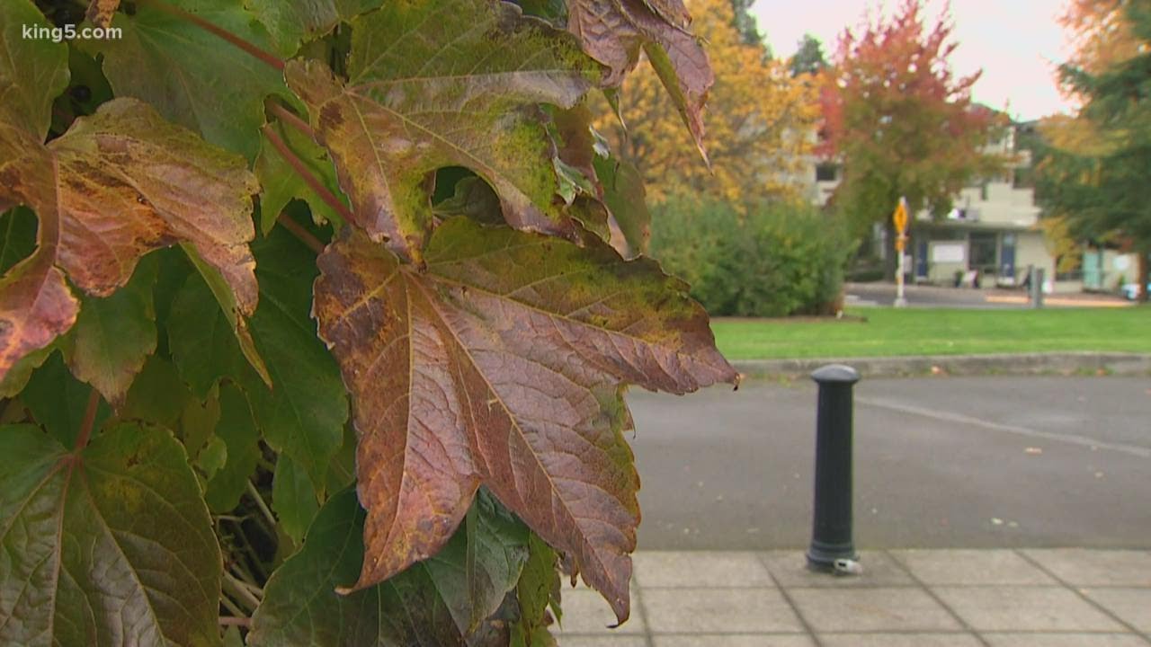 Fall back anxiety around end of Daylight Saving Time