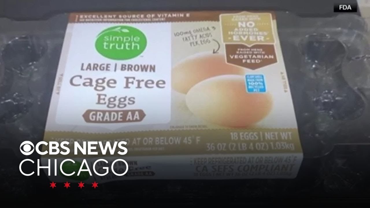 Salmonella outbreak linked to recalled eggs