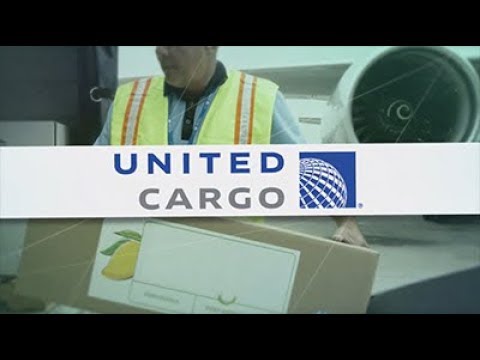 United Cargo Business Friendly