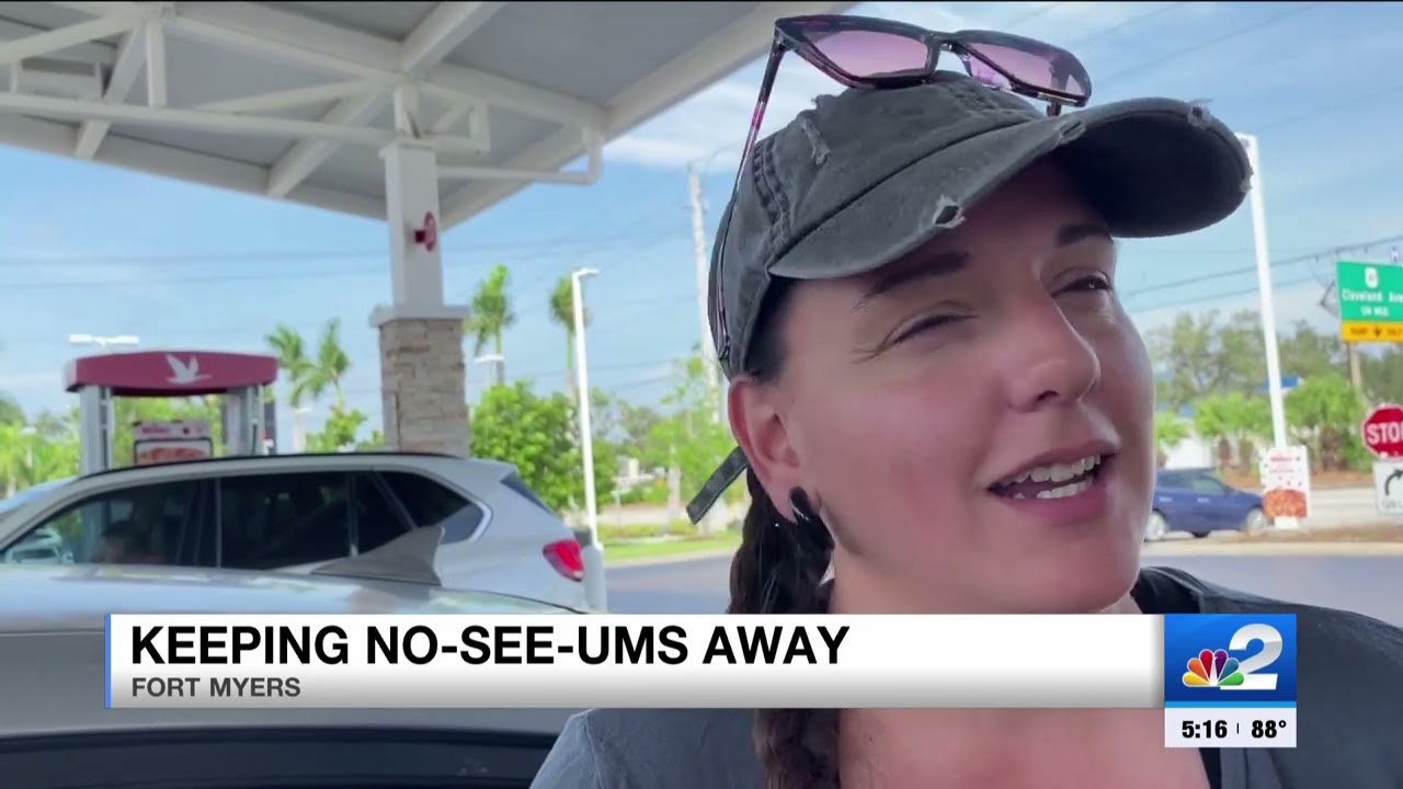 How to protect yourself from pesky 'Noseeums' swarming Southwest Florida