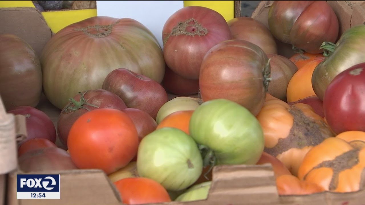 Mission Community Market is SF's portal to Latino cusine