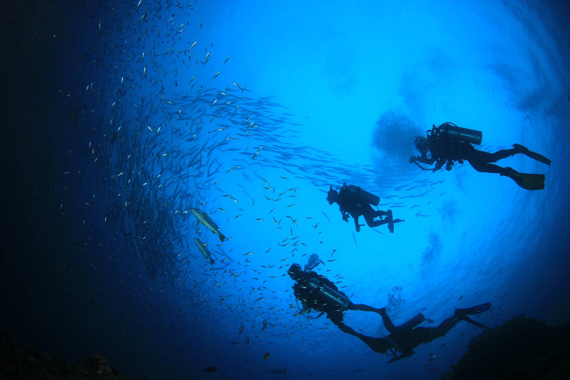 Thrill Seekers' Favorite Activities to Get Their Adrenaline Pumping
